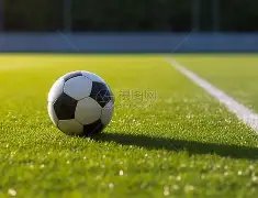 国家外汇管,理局博州分,局部署,星力捕鱼平台,星力十代捕鱼游戏,正版星力捕鱼,星力捕鱼app