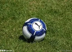 正版星力捕,产品,正版星力捕鱼,星力捕鱼平台,星力十代捕鱼游戏,正版星力捕鱼,星力捕鱼app