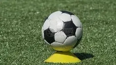 正版星力捕鱼 产品 115751 kek