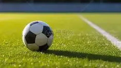 正版星力捕鱼 资讯 135149 qp3